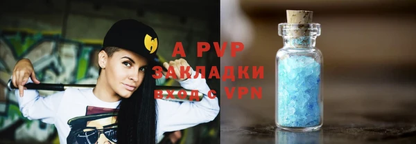 стаф Магадан