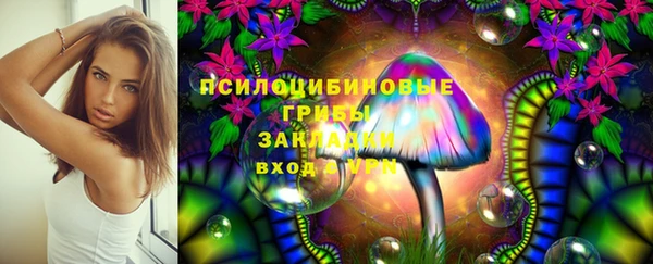 2c-b Володарск
