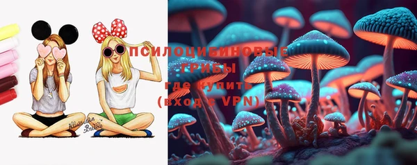 spice Волосово