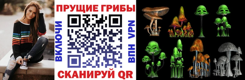 даркнет наркотические препараты  Вуктыл  Галлюциногенные грибы мицелий 